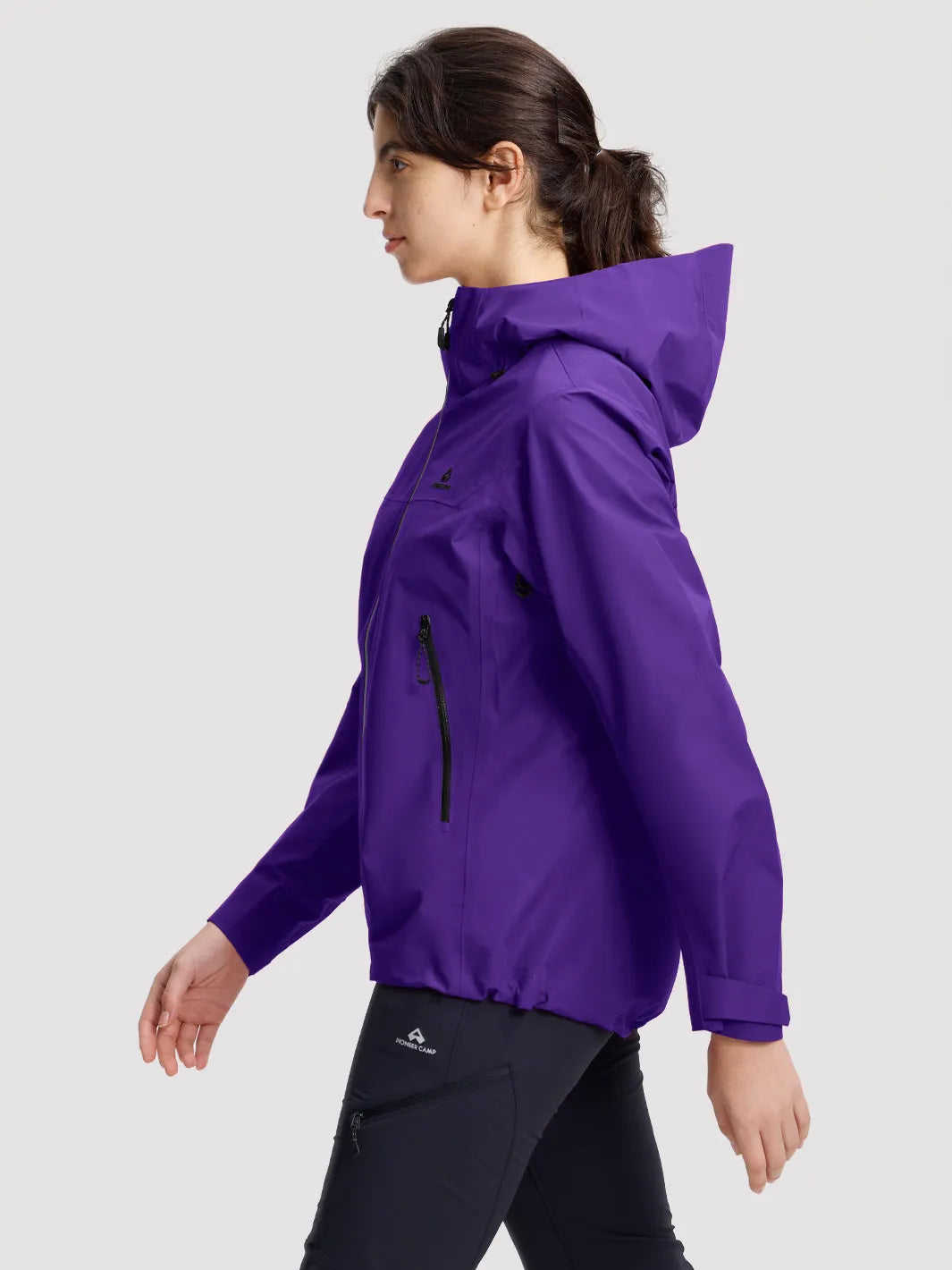 Dream Purple
