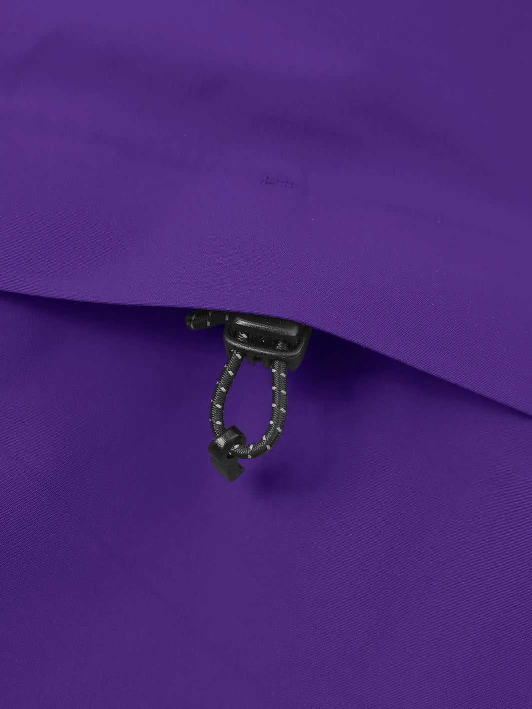 Dream Purple